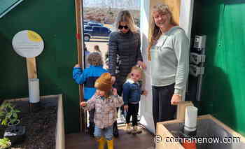 WATCH: Community Growing Fair a hit for Cultivate Cochrane - CochraneNow.com