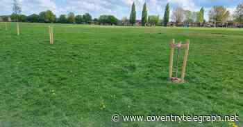 Trees damaged by 'moronic vandals' in popular Coventry park - Coventry Live