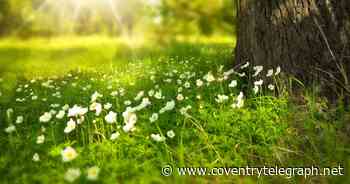Bank Holiday scorcher on the cards after chilly spell - Coventry and Warwickshire forecast - Coventry Live