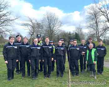 Solihull given Tree City of the World status for plans to plant 250000 trees - Solihull Observer