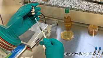 Corona in Iserlohn und Hemer: Infektionen gehen zurück - IKZ News