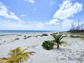 On Grand Bahama, the internet is terrible. I loved it