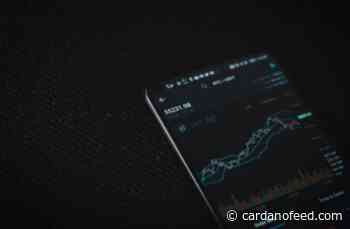 Everybody Needs Their Own NFT – Parody Coin (PARO), Cardano (ADA) and ApeCoin (APE) - Cardano Feed