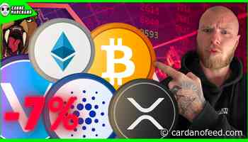 What about Bitcoin (BTC), Cardano (ADA), XRP, and VeChain (VET)? - Cardano Feed