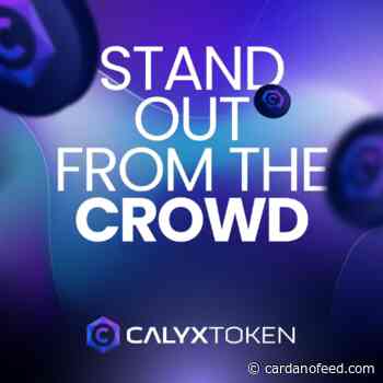 Investment Report: While Cardano (ADA) and Fantom (FTM) are in Red, Calyx Token (CLX) is Rising - Cardano Feed