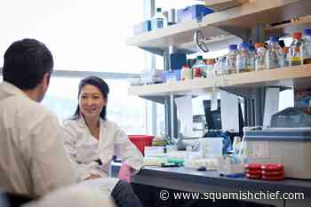 Why health research must include sex differences - Squamish Chief