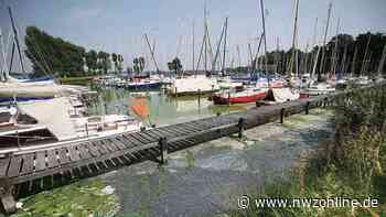 Zwischenahner Meer: Kümmerer-Stelle wird geschaffen - Umweltminister Olaf Lies sagt Finanzierung zu - Nordwest-Zeitung