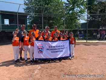 St. Clair County news briefs: Little leagues to host events, more - New Baltimore Voice Newspapers