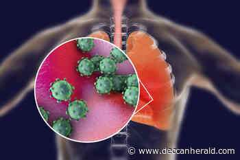 Drug to treat asthma stops coronavirus from replicating, finds IISc research - Deccan Herald
