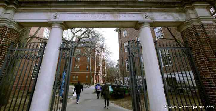 Harvard Vows to Spend $100 Million to Atone for School's 'Disturbing and Shocking' Slavery Legacy