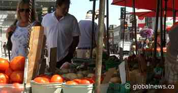 Kingston Public Market to offer beer, wine and more locally-sourced food