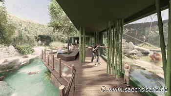 Dresden: Baustart im Dresdner Zoo - Orang-Utans bekommen ein neues Domizil - Sächsische.de