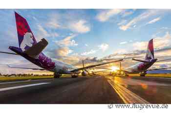 Starlink-Empfang in der Flugzeugkabine: Hawaiian Airlines: Schnelleres Internet per Satellit - FLUG REVUE