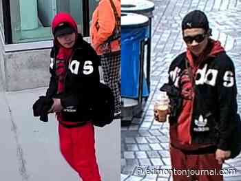 Edmonton police make arrest after senior pushed onto LRT tracks