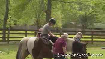 Fort Smith nonprofit offers physical therapy through horseback riding - KFSM 5Newsonline