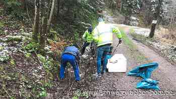 Stadtputz Binsdorf - Katzenstreu verdreckt den Wald - Schwarzwälder Bote