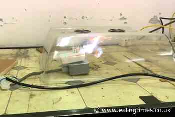 Warning over 'highly dangerous' energy saving devices on sale - Ealing Times