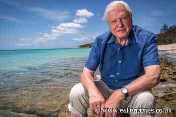 David Attenborough turns 96 – how you can say happy birthday - Ealing Times