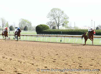 Gormley Colt Runs Them Off Their Feet at Keeneland - Thoroughbred Daily News
