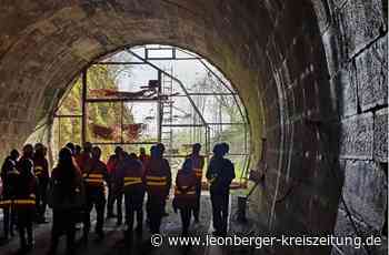 Hermann-Hesse-Bahn - Eine Fledermauskammer für den Hirsauer Tunnel - Leonberger Kreiszeitung