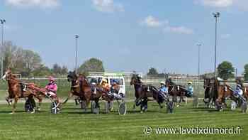 Courses hippiques à Arras : une première réussie sous le soleil - La Voix du Nord