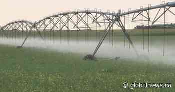 Irrigation dispute resolved for southern Alberta farmers