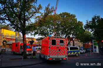 Müllsammler besetzt Baukran