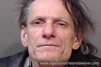 Chilliwack's David Lee Roth impersonator's Charter delay application rejected – Agassiz Harrison Observer - Agassiz Harrison Observer