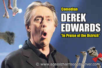 UPDATE: New date announced for comedian Derek Edwards' show in Chilliwack – Agassiz Harrison Observer - Agassiz Harrison Observer