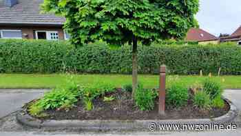 Engagement in der Gemeide Apen: Gemeinde sucht Beetpaten - Nordwest-Zeitung