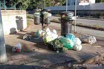 Vandali in una zona, incivili in un'altra: una battaglia quotidiana - TraniViva