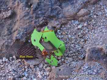 Villa comunale di Trani, ennesima giostrina distrutta e buttata in mare - ilgiornaleditrani - Radio Bombo