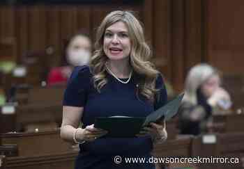 Tory MP calls study of link between resource development, violence 'disgraceful' - Dawson Creek Mirror