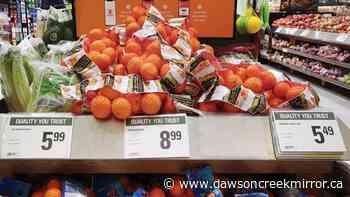 Food prices in Canada hit all time high: Statistics Canada - Dawson Creek Mirror