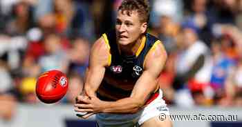 Dawson nominated for Mark of the Year - Adelaide Crows