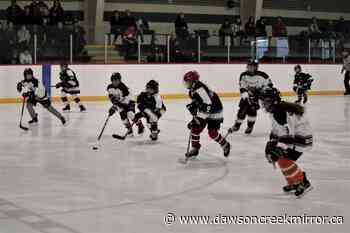 Predators hold spring ID camp - Dawson Creek Mirror