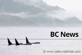 B.C. district council for Directors Guild of Canada issues strike notice - Delta Optimist