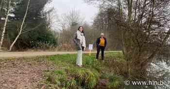 Oeverversteviging Paalse Plas loopt vertraging op | Beringen | hln.be - Het Laatste Nieuws