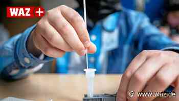Das sagen Schulen in Witten zum Wegfall der Testpflicht - WAZ News