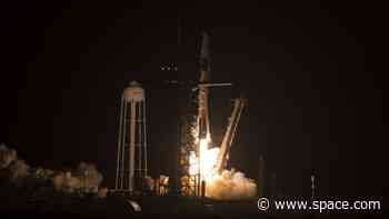 SpaceX launches Crew-4 astronauts to space station on a Dragon named Freedom