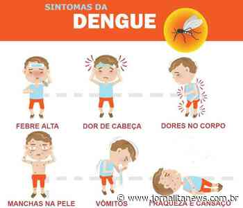 Itapeva registrou aumento nos casos de dengue - Jornal Ita News
