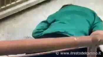 Baby bulle Modena, nuove spedizioni punitive - il Resto del Carlino