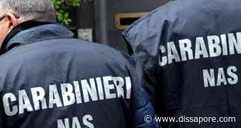 Modena, blitz dei Nas nelle pasticcerie locali: irregolarità in tre diversi locali - dissapore