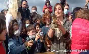 A Modena la Liberazione è anche per gli animali. VIDEO - modenaindiretta.it