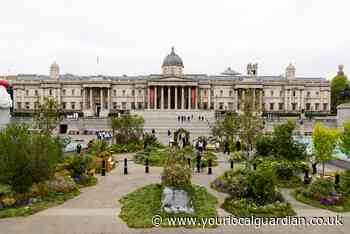 Trafalgar Square transformed into meadow for one day only