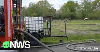 Vrouw redt paard uit stal bij brand in Brasschaat - VRT NWS