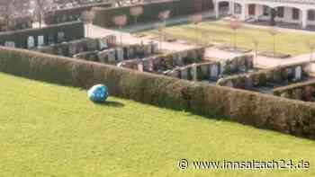 Wie ein Riesen-Ei auf Abwegen für Furore im Netz sorgt