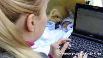 Ein gutes Beispiel geben: Kreis Mayen-Koblenz will Vorbild sein bei Vereinbarkeit von Beruf und Familie - Rhein-Zeitung