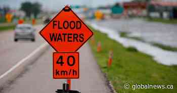Manitoba flood warning issued for Assiniboine River from St. Lazare to Griswold - Global News