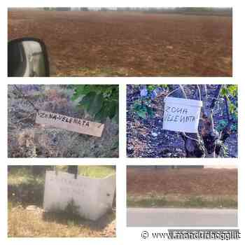 MANDURIA – «Nei campi si usano sempre più diserbanti, fatale per le api: poi ci chiedete il miele genuino…» - ManduriaOggi